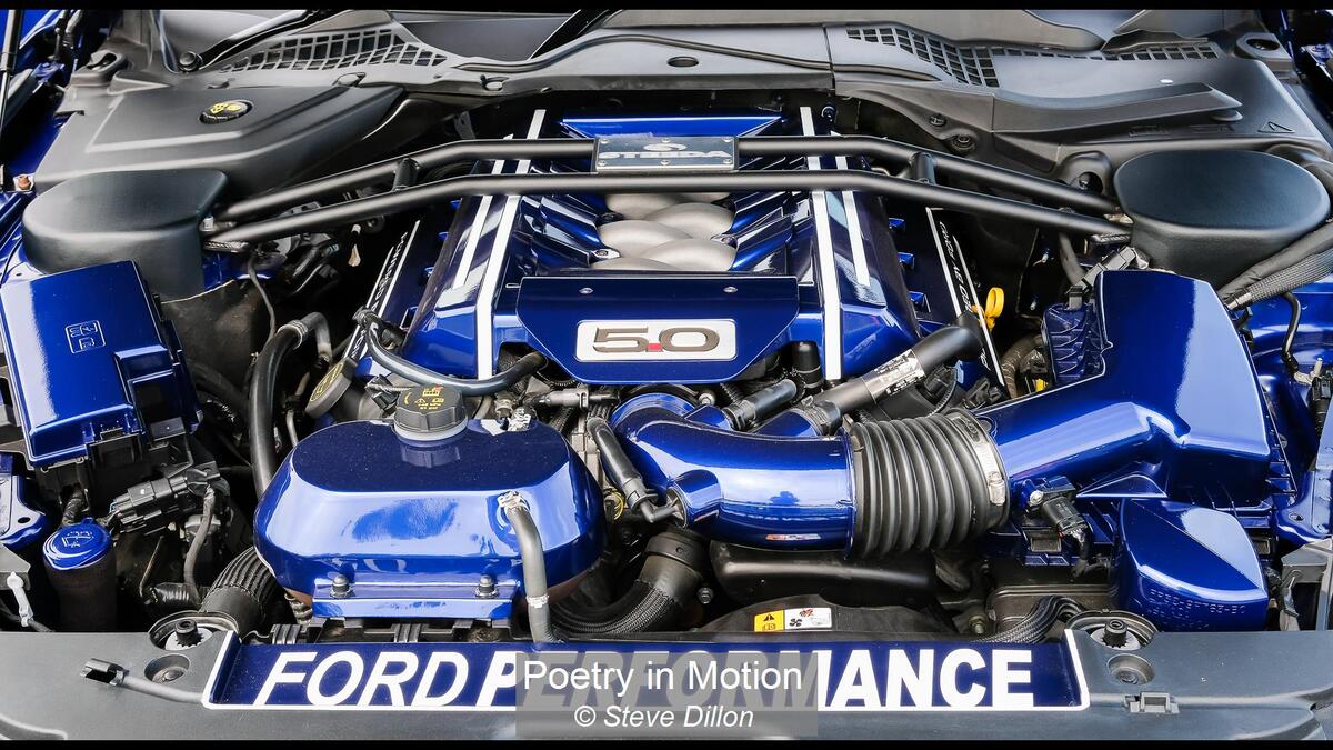 03_Poetry in Motion_Steve Dillon